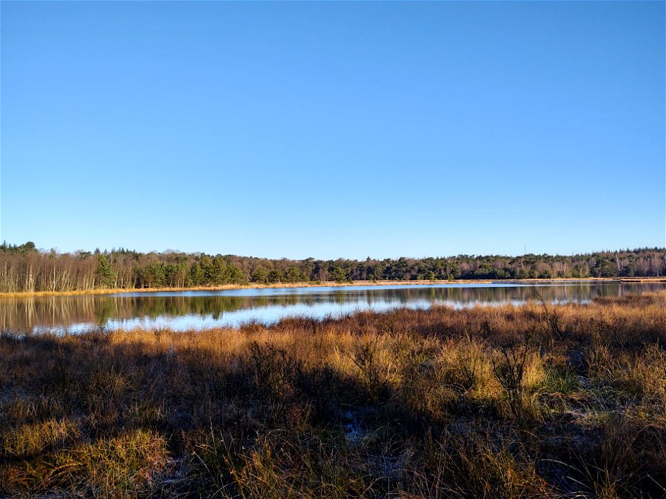 Leersumsche veld