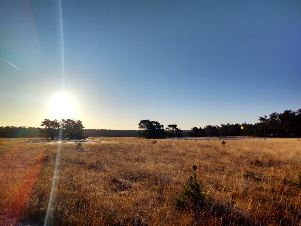 Leersumsche veld