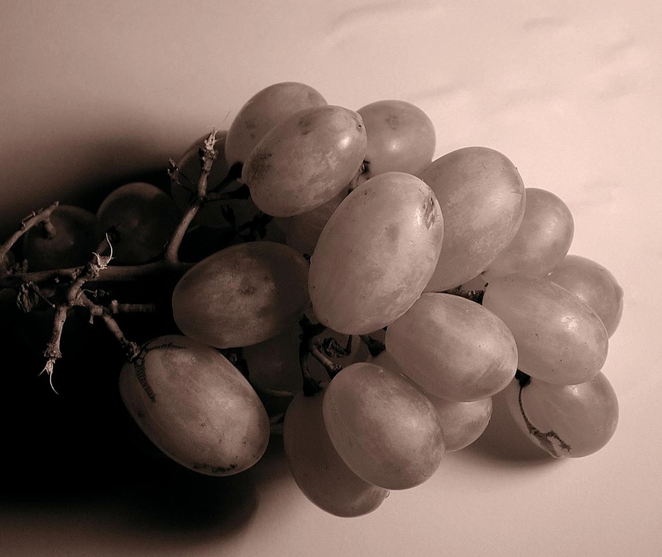 Fruit image 