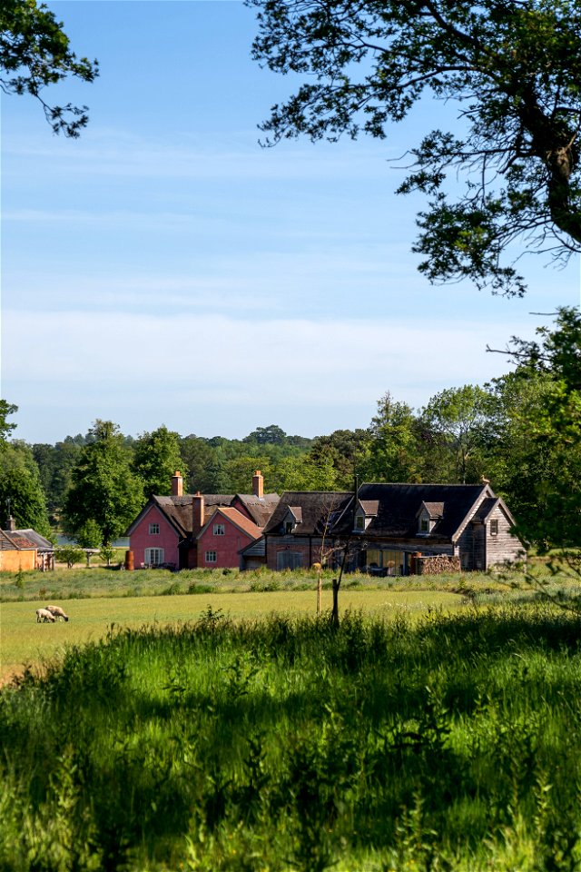 DSC02676