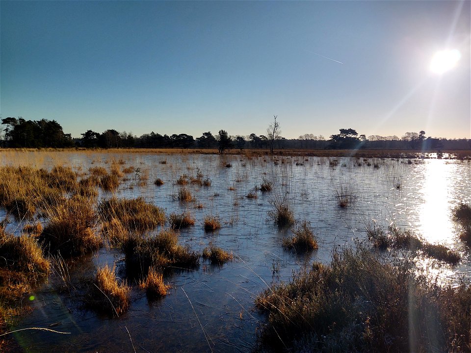 Leersumsche veld