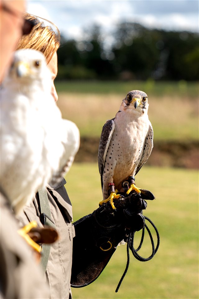 September2020_Wilderness_Shoot-94