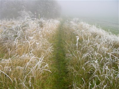 Kingsbury 091