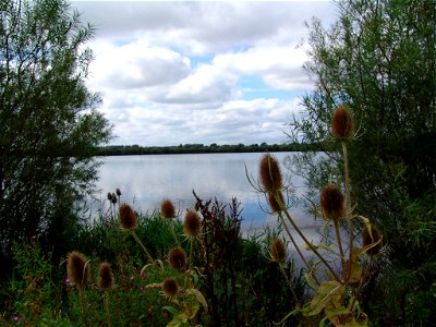 Kingsbury 004