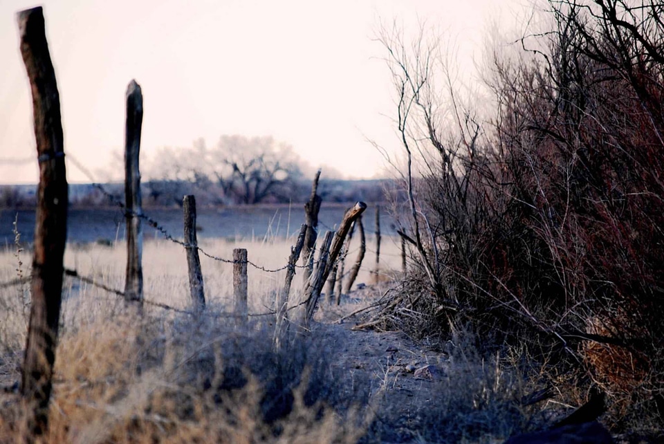 Close fence line line