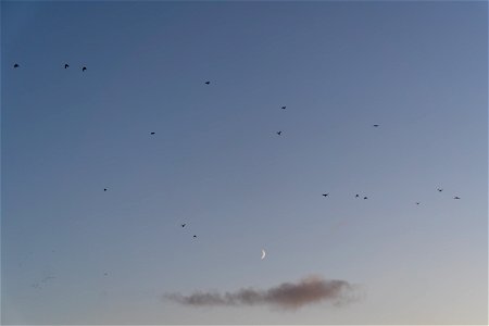 DSC03199