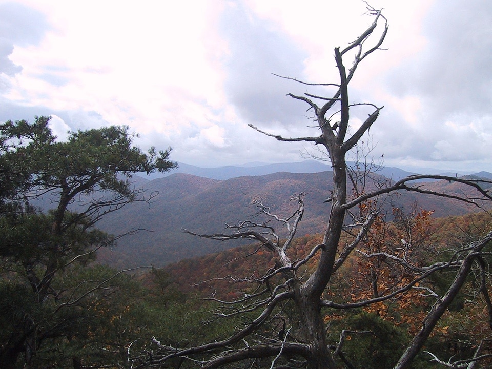 Background mountainside 