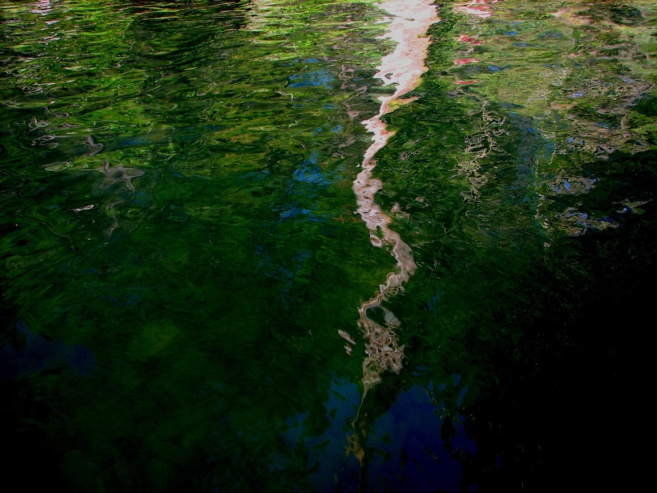 Aquatic reflection 