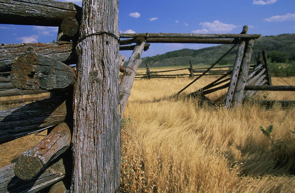 Close countryside 