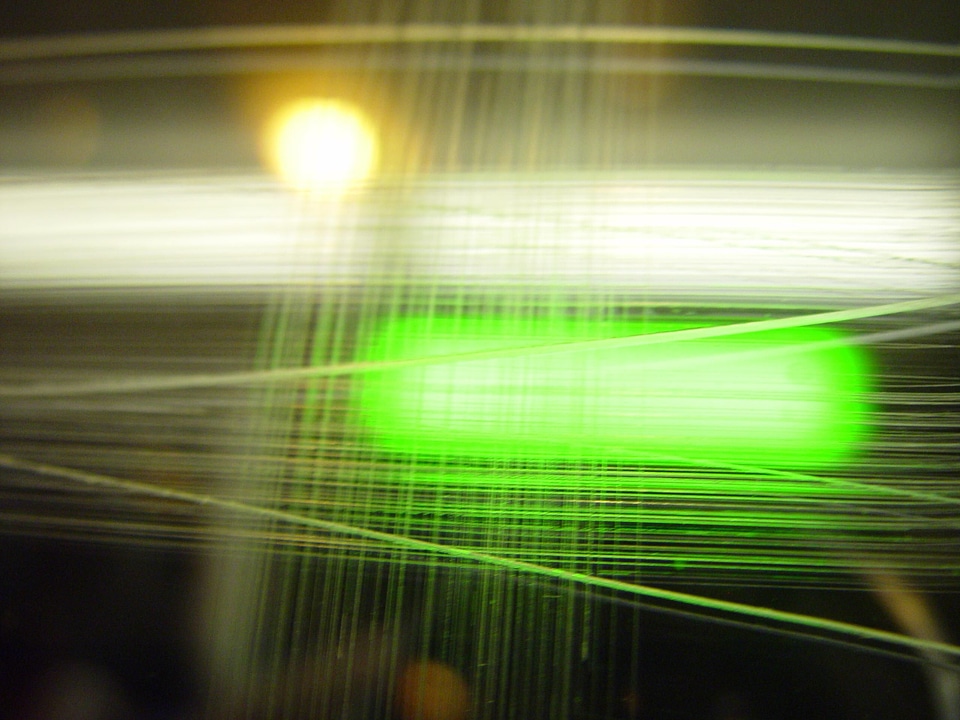 Abstract greenery 