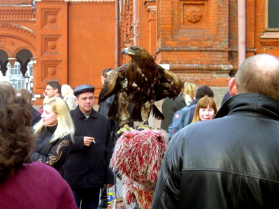 Moscow 3