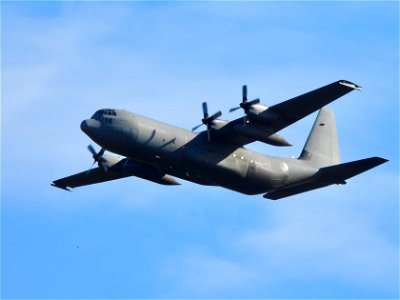 Lockheed C-130 RNAF photo