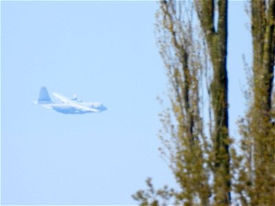 Lockheed C-130 Hercules photo