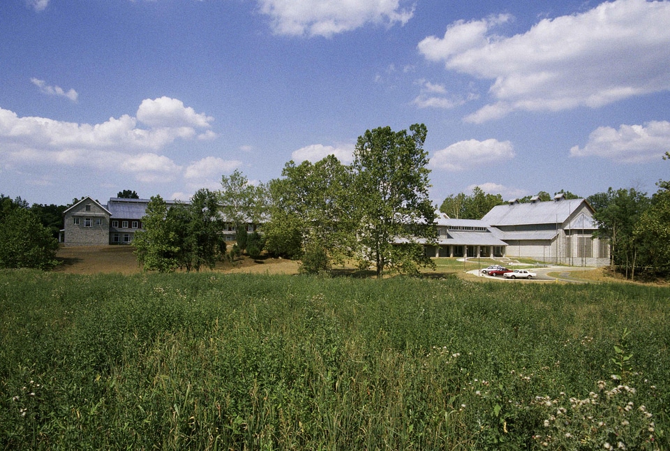 Bearing building grass plants