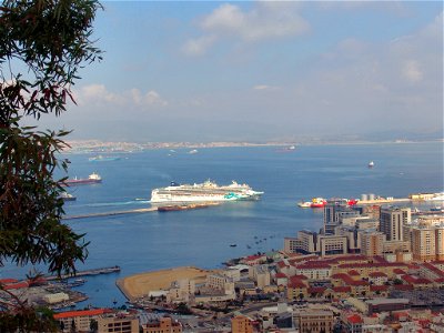 DSC05591