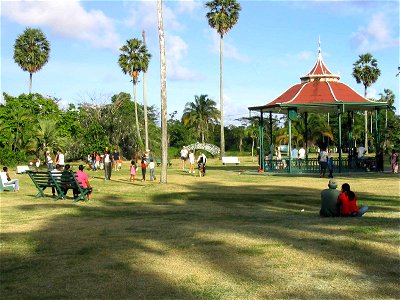 19Botanical gardens - playing cricket photo