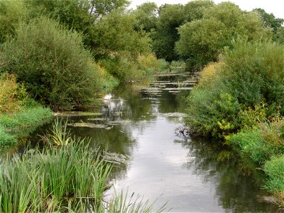 Kingsbury 014