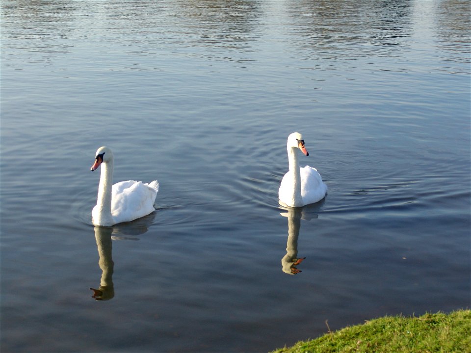 Kingsbury 055