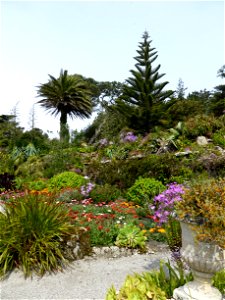 P1000754