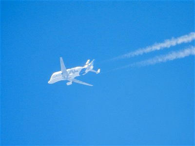 Airbus BelugaXL photo