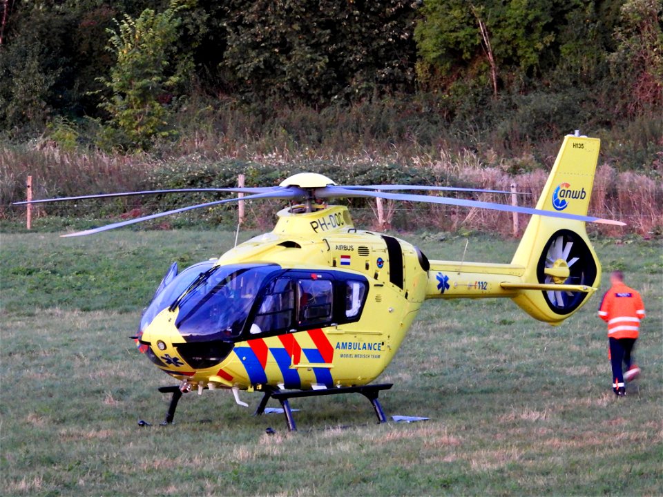 Traumaheli