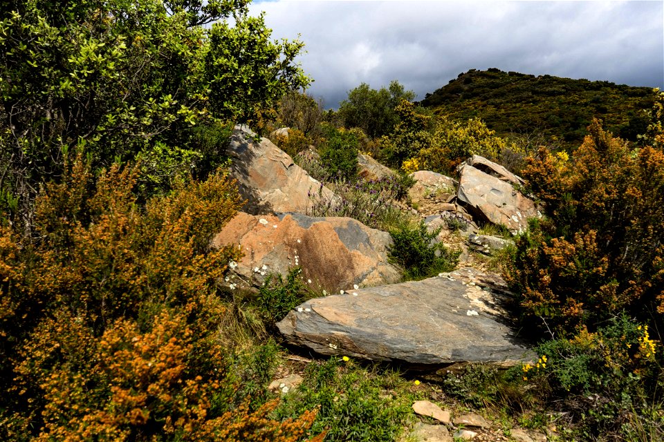 29-04-2021 Coll de Platja i Girarols