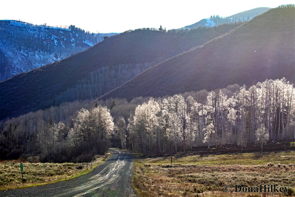 Sun-glow-on-Aspens-29april2020-CR8