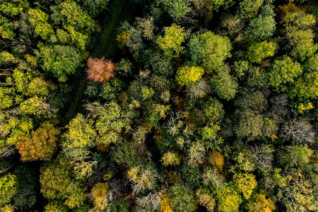 DJI_0050