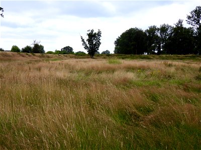 Fort Daatselaar