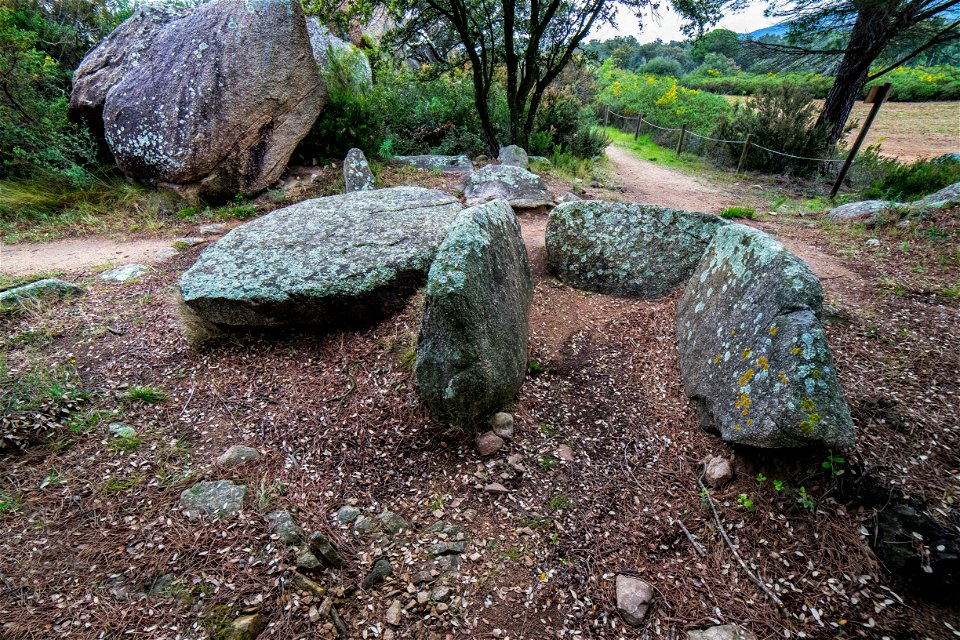 27-04-2021 Megalític de l' Albera I
