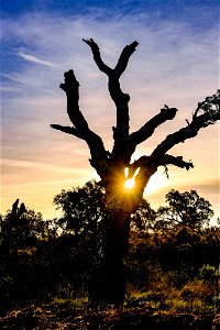 09-02-2019 Alba des de La Gutina