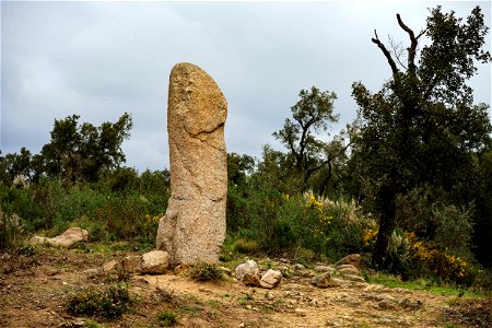 07-03-2021 Excursió per l' Albera