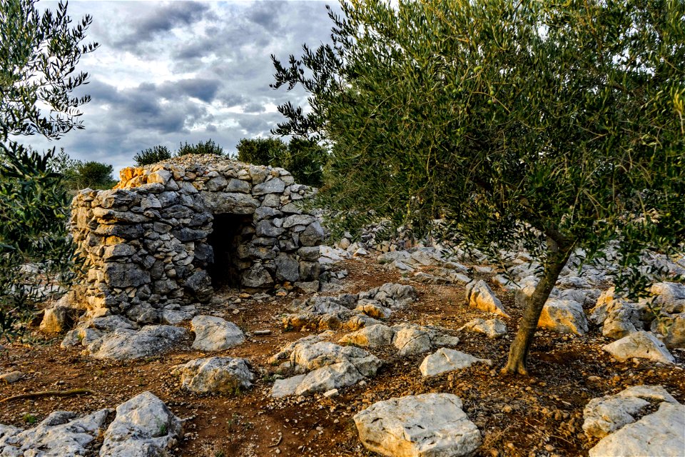 02-11-2019 La Garriga d'Avinyonet de Puigventós