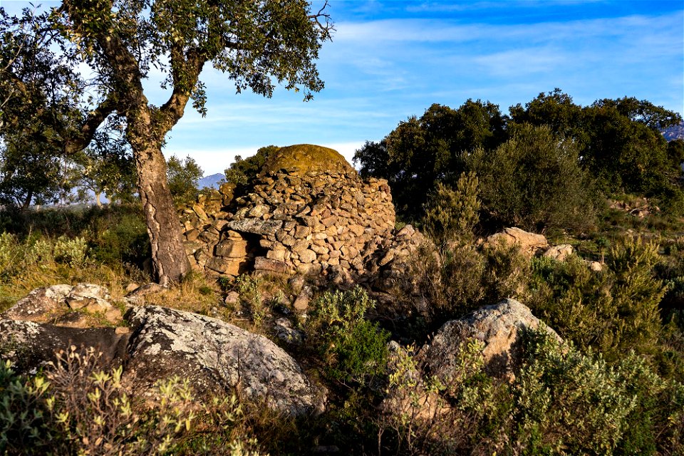 09-02-2019 Alba des de La Gutina