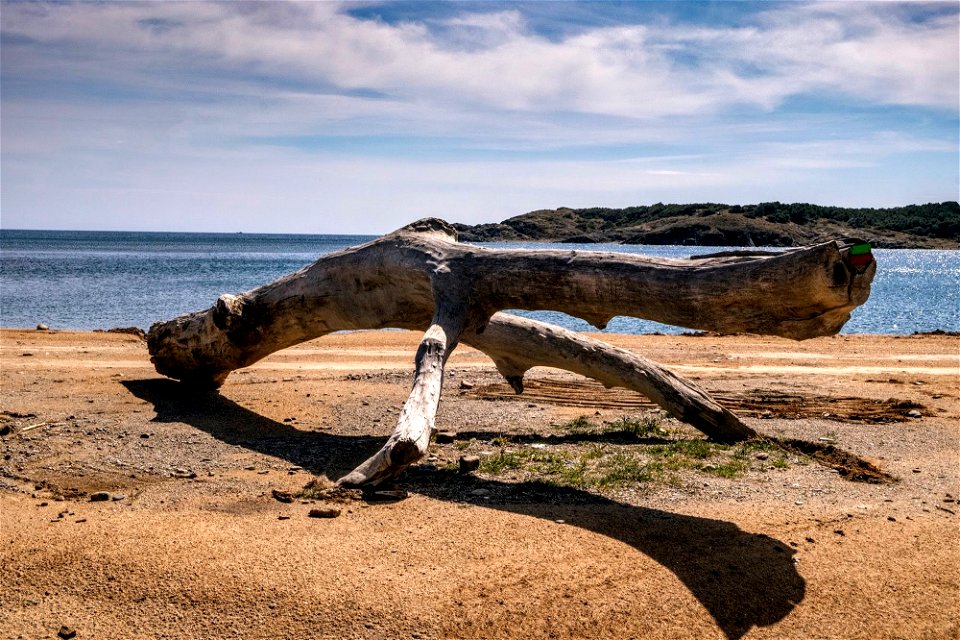 10-04-2019 Camí de Ronda de Llançà a Colera