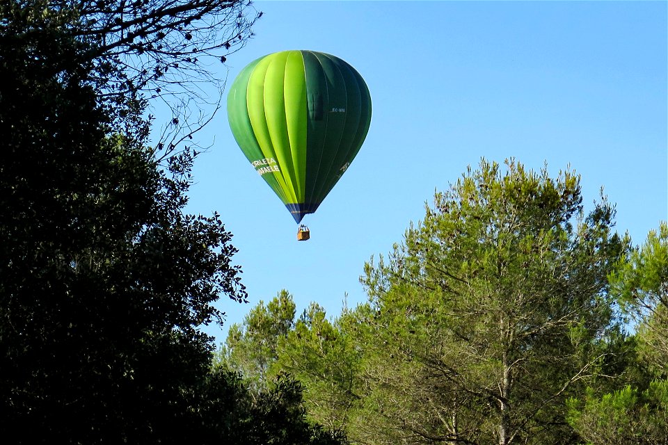 12-06-2022 Globus