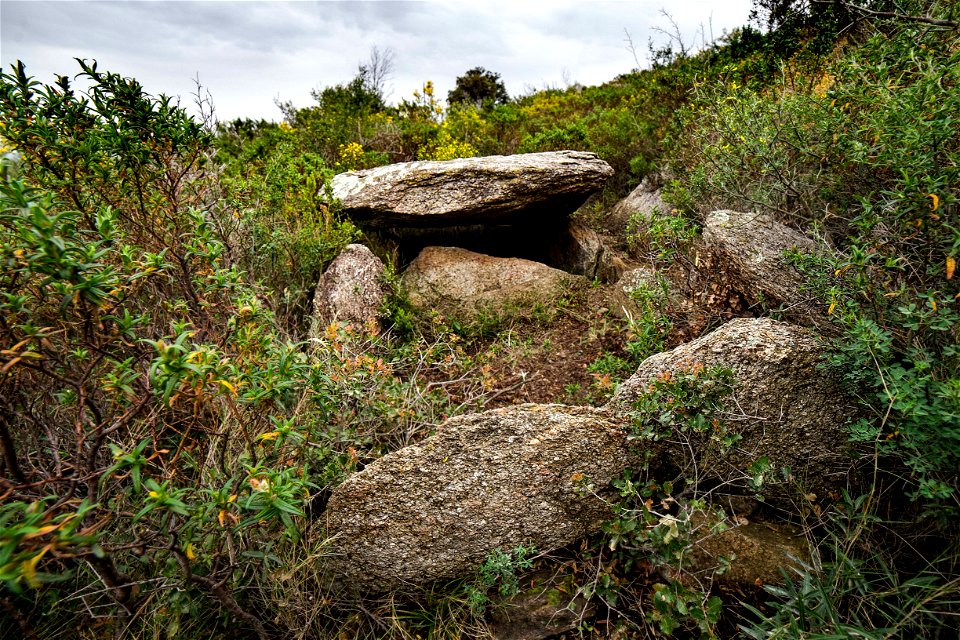 27-04-2021 Megalític de l' Albera I