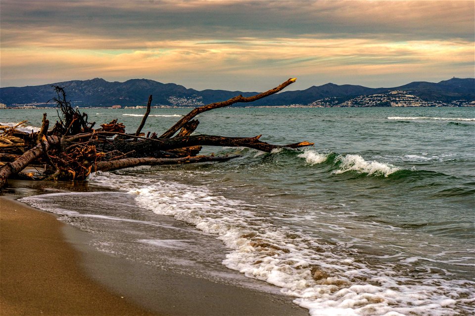 29-01-2020 Platja de Sant Pere Pescador