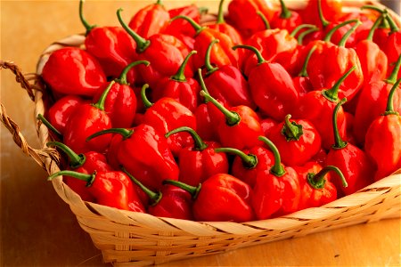 Hot Peppers photo