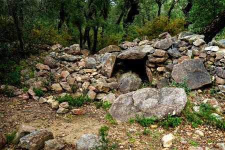07-03-2021 Excursió per l' Albera