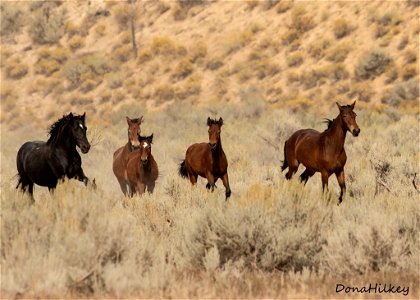 web-blk-stud-4bays-sept2019