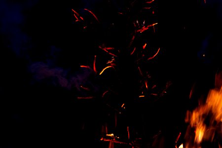Fire