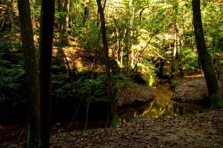 Dismals Canyon