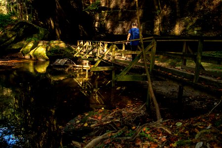 Dismals Canyon