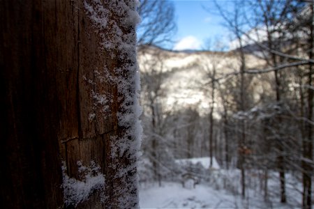 Winter Snow