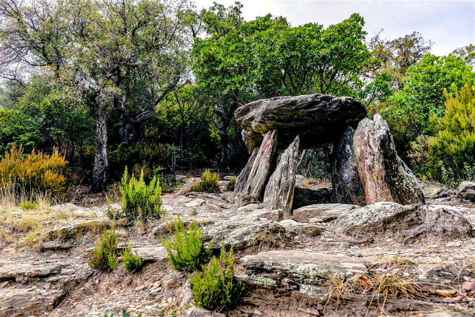 08-08-2021 Dolmens Coll de Medàs
