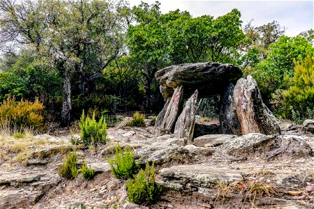 08-08-2021 Dolmens Coll de Medàs