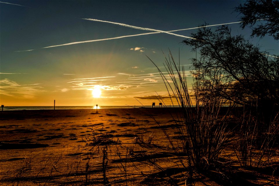 23-12-2019 Aiguamolls de l' Empordà