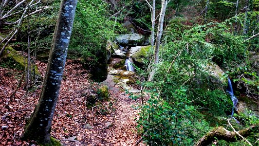 12-04-2016 Torrent del Puig