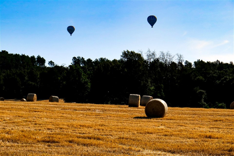 12-06-2022 Globus